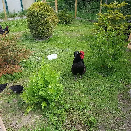 Appartamento Hausnordlicht 3 *