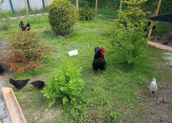 Appartement Hausnordlicht 3 *